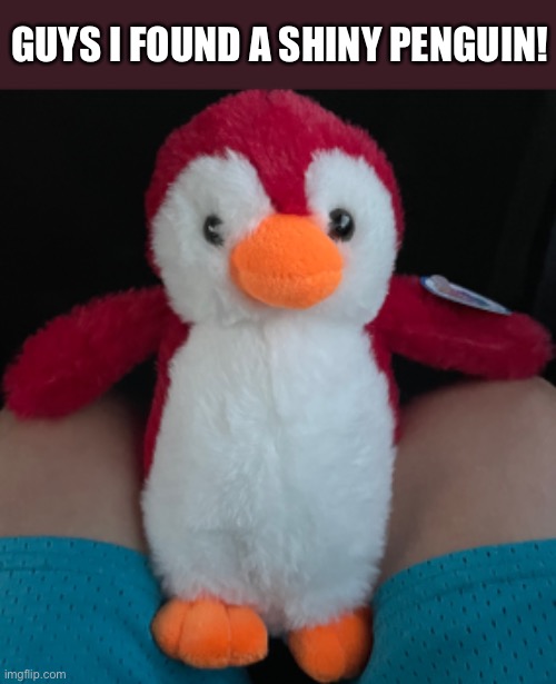 It was in a claw grab machine | GUYS I FOUND A SHINY PENGUIN! | made w/ Imgflip meme maker