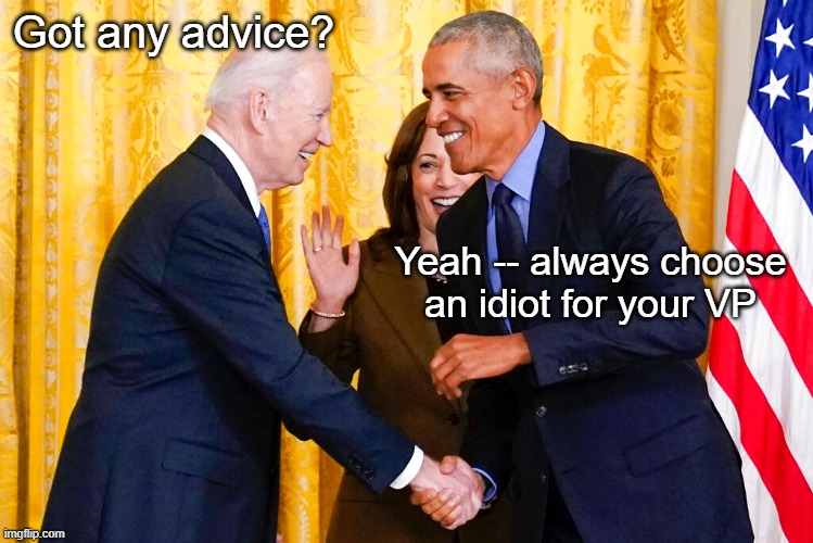 What could go wrong | Got any advice? Yeah -- always choose an idiot for your VP | made w/ Imgflip meme maker
