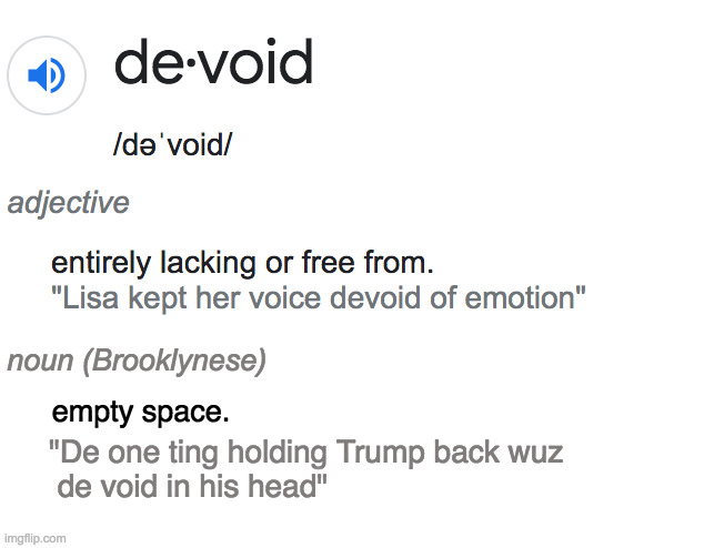 noun (Brooklynese) empty space. "De one ting holding Trump back wuz
 de void in his head" | image tagged in blank white template | made w/ Imgflip meme maker
