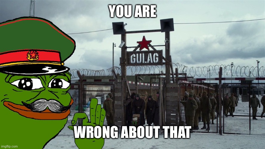 Stalin Gulag Pepe | YOU ARE WRONG ABOUT THAT | image tagged in stalin gulag pepe | made w/ Imgflip meme maker