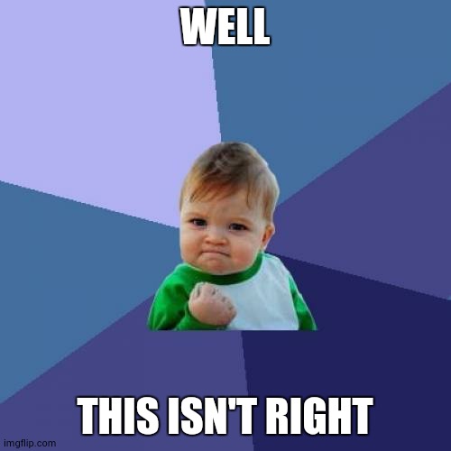 Success Kid | WELL; THIS ISN'T RIGHT | image tagged in memes,success kid | made w/ Imgflip meme maker