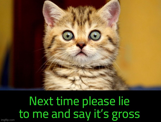 Next time please lie to me and say it’s gross | made w/ Imgflip meme maker