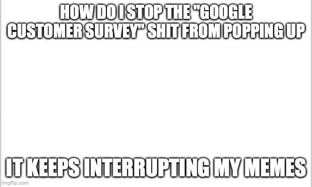 help | HOW DO I STOP THE "GOOGLE CUSTOMER SURVEY" SHIT FROM POPPING UP; IT KEEPS INTERRUPTING MY MEMES | image tagged in white background | made w/ Imgflip meme maker