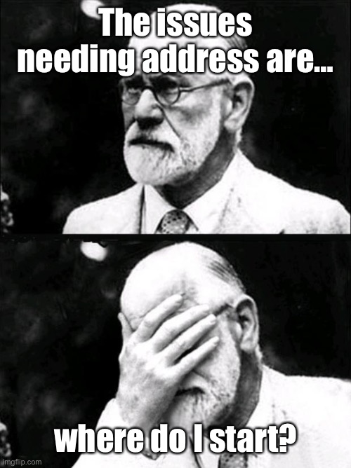 Freud | The issues needing address are… where do I start? | image tagged in freud | made w/ Imgflip meme maker