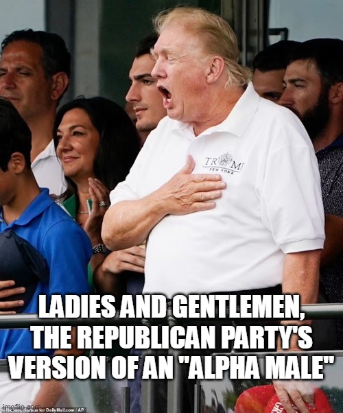 LADIES AND GENTLEMEN, THE REPUBLICAN PARTY'S VERSION OF AN "ALPHA MALE" | image tagged in trump,republican | made w/ Imgflip meme maker