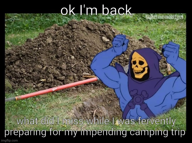 i was banned off of the internet for a while :skull: | ok I'm back; what did I miss while I was fervently preparing for my impending camping trip | image tagged in skeletor rises from the grave | made w/ Imgflip meme maker