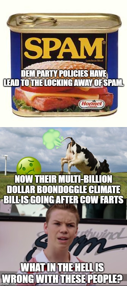 Really . . . it's a question for the ages. | DEM PARTY POLICIES HAVE LEAD TO THE LOCKING AWAY OF SPAM. NOW THEIR MULTI-BILLION DOLLAR BOONDOGGLE CLIMATE BILL IS GOING AFTER COW FARTS; WHAT IN THE HELL IS WRONG WITH THESE PEOPLE? | image tagged in spam | made w/ Imgflip meme maker