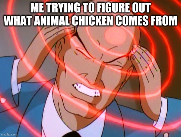 Professor X | ME TRYING TO FIGURE OUT WHAT ANIMAL CHICKEN COMES FROM | image tagged in professor x | made w/ Imgflip meme maker