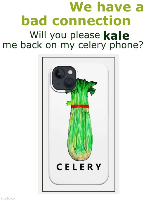 We have a bad connection; Will you please      me back on my celery phone? kale | image tagged in funny memes,dad jokes,bad jokes,eyeroll | made w/ Imgflip meme maker