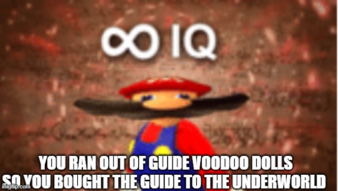 pooooooooooooooooooooooooooooooo | YOU RAN OUT OF GUIDE VOODOO DOLLS
SO YOU BOUGHT THE GUIDE TO THE UNDERWORLD | image tagged in infinite iq,terraria | made w/ Imgflip meme maker