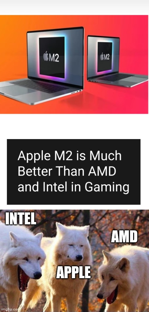 Apple silicon can't run anything | INTEL; AMD; APPLE | image tagged in laughing wolf | made w/ Imgflip meme maker