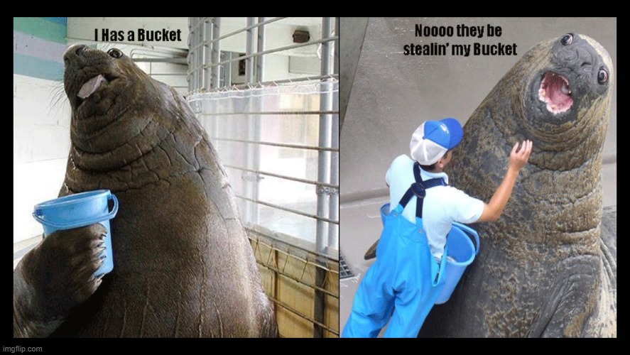I had a bucket | image tagged in i had a bucket | made w/ Imgflip meme maker