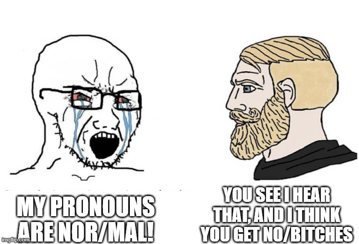 Soyboy Vs Yes Chad | YOU SEE I HEAR THAT, AND I THINK YOU GET NO/BITCHES; MY PRONOUNS ARE NOR/MAL! | image tagged in soyboy vs yes chad | made w/ Imgflip meme maker