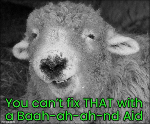 You can’t fix THAT with
a Baah-ah-ah-nd Aid | made w/ Imgflip meme maker
