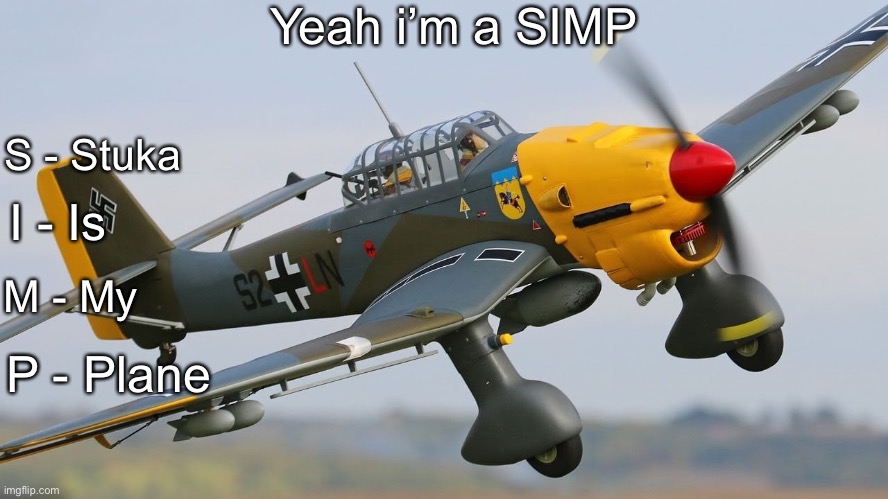 Where the other wehraboos at? | Yeah i’m a SIMP; S - Stuka; I - Is; M - My; P - Plane | image tagged in stuka,wehraboo | made w/ Imgflip meme maker