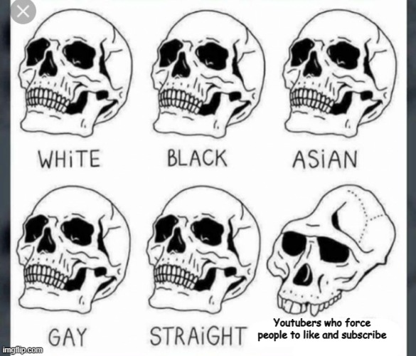 Like, C'mon, Guys! |  Youtubers who force people to like and subscribe | image tagged in white black asian gay straight skull template,youtube,like,subscribe,youtubers,stupid | made w/ Imgflip meme maker
