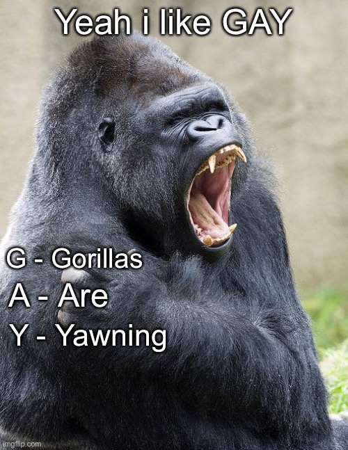 Back to monke | Yeah i like GAY; G - Gorillas; A - Are; Y - Yawning | image tagged in memes,gorillas,gorilla | made w/ Imgflip meme maker