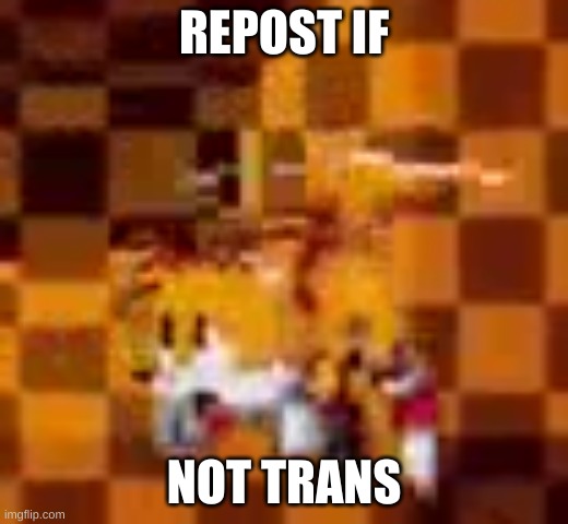 Tired tails | REPOST IF; NOT TRANS | image tagged in tired tails | made w/ Imgflip meme maker