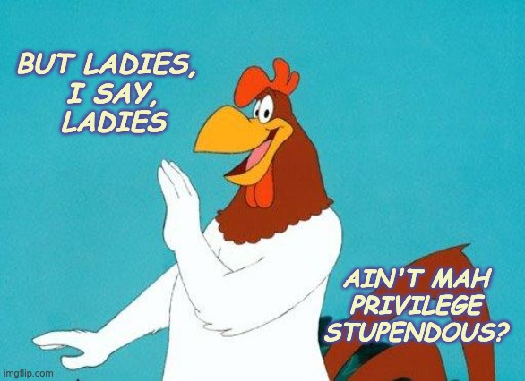 Chest high, tail high, lots to say, no listening skills detected | BUT LADIES, 
I SAY,
LADIES; AIN'T MAH
PRIVILEGE
STUPENDOUS? | image tagged in foghorn leghorn,rooster,male privilege | made w/ Imgflip meme maker