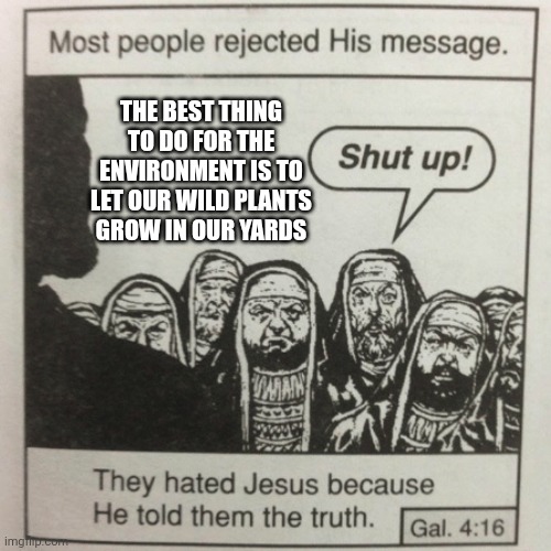 They hated him because he tried to help | THE BEST THING TO DO FOR THE ENVIRONMENT IS TO LET OUR WILD PLANTS GROW IN OUR YARDS | image tagged in they hated jesus because he told them the truth | made w/ Imgflip meme maker
