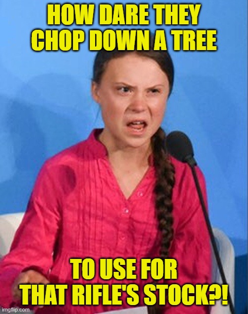 Greta Thunberg how dare you | HOW DARE THEY CHOP DOWN A TREE TO USE FOR THAT RIFLE'S STOCK?! | image tagged in greta thunberg how dare you | made w/ Imgflip meme maker