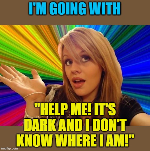 Dumb Blonde Meme | I'M GOING WITH "HELP ME! IT'S DARK AND I DON'T KNOW WHERE I AM!" | image tagged in memes,dumb blonde | made w/ Imgflip meme maker