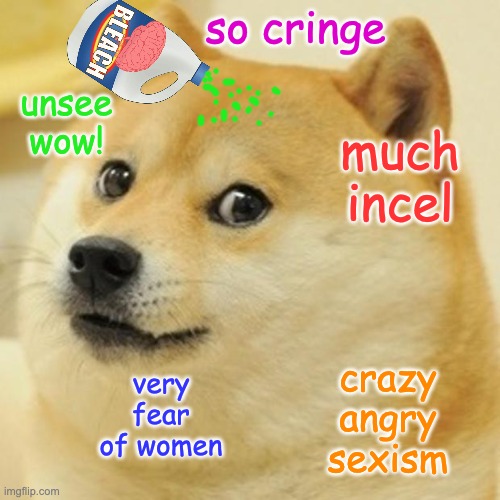 Doge has seen too much | so cringe; unsee
wow! much
incel; very fear of women; crazy
angry
sexism | image tagged in memes,doge,sexism,women's rights,incel,brain bleach | made w/ Imgflip meme maker