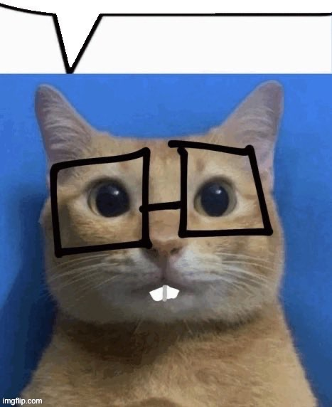 nerd cat Blank Meme Template