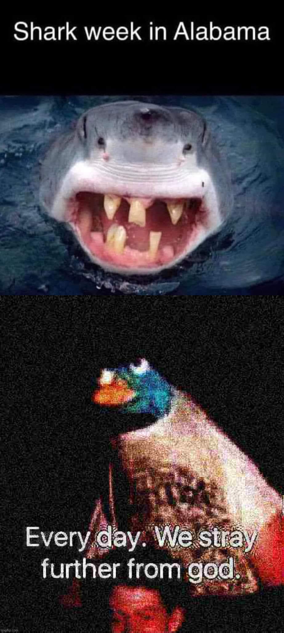 image tagged in shark week in alabama,every day we stray further from god deep-fried 2 | made w/ Imgflip meme maker