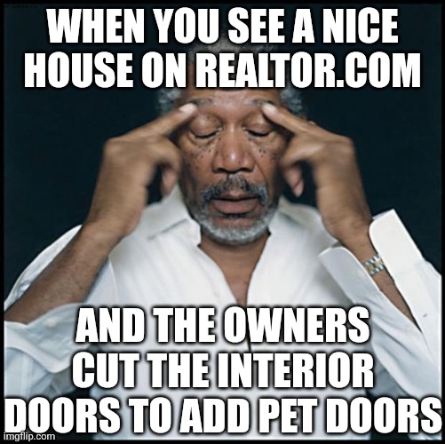 Pet owners, your cat does not need a personal door into your bedroom. Leave the door ajar. | WHEN YOU SEE A NICE HOUSE ON REALTOR.COM; AND THE OWNERS CUT THE INTERIOR DOORS TO ADD PET DOORS | image tagged in morgan freeman headache,doors,pets,values,wth | made w/ Imgflip meme maker
