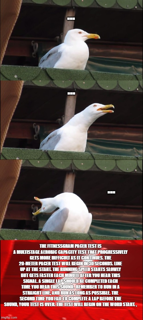 Inhaling Seagull | ... ... ... THE FITNESSGRAM PACER TEST IS A MULTISTAGE AEROBIC CAPACITY TEST THAT PROGRESSIVELY GETS MORE DIFFICULT AS IT CONTINUES. THE 20-METER PACER TEST WILL BEGIN IN 30 SECONDS. LINE UP AT THE START. THE RUNNING SPEED STARTS SLOWLY BUT GETS FASTER EACH MINUTE AFTER YOU HEAR THIS SIGNAL. A SINGLE LAP SHOULD BE COMPLETED EACH TIME YOU HEAR THIS SOUND.  REMEMBER TO RUN IN A STRAIGHT LINE, AND RUN AS LONG AS POSSIBLE. THE SECOND TIME YOU FAIL TO COMPLETE A LAP BEFORE THE SOUND, YOUR TEST IS OVER. THE TEST WILL BEGIN ON THE WORD START. , | image tagged in memes,inhaling seagull | made w/ Imgflip meme maker