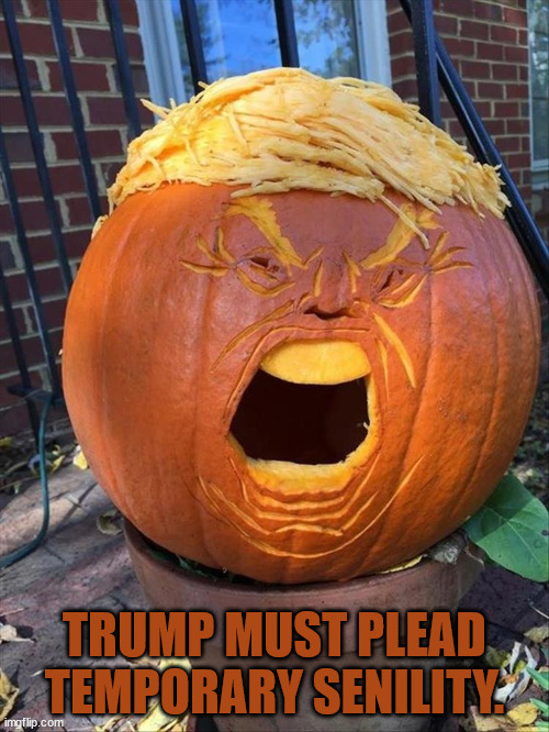 Trumpkin |  TRUMP MUST PLEAD TEMPORARY SENILITY. | image tagged in donald trump,maga | made w/ Imgflip meme maker