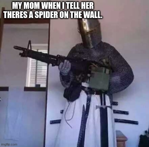 Crusader knight with M60 Machine Gun | MY MOM WHEN I TELL HER THERES A SPIDER ON THE WALL. | image tagged in crusader knight with m60 machine gun | made w/ Imgflip meme maker