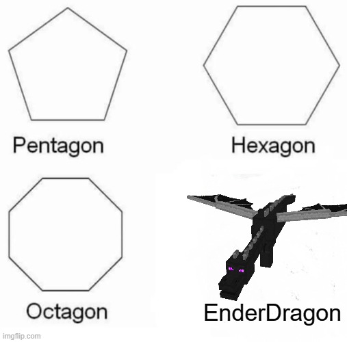 minecraft shapes | EnderDragon | image tagged in memes,pentagon hexagon octagon,minecraft,dragon | made w/ Imgflip meme maker