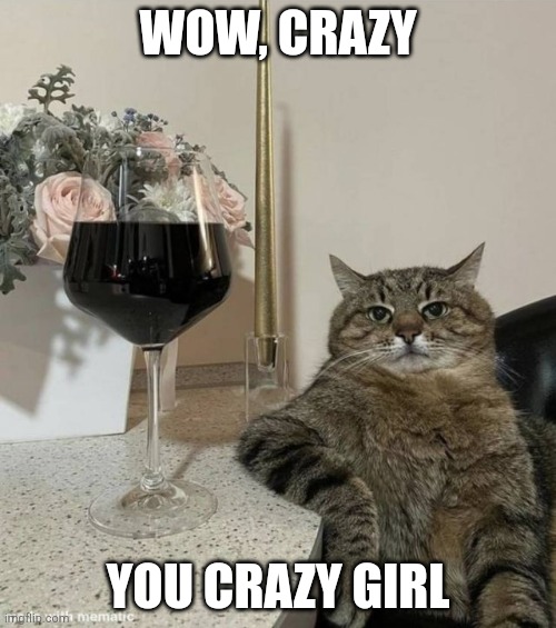 Cat with Wine | WOW, CRAZY; YOU CRAZY GIRL | image tagged in cat with wine | made w/ Imgflip meme maker