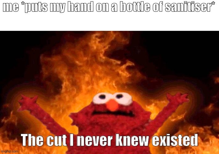 This happened to me today |  me *puts my hand on a bottle of sanitiser*; The cut I never knew existed | image tagged in elmo fire | made w/ Imgflip meme maker
