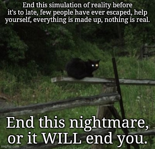 This simulation needs to end, nothing actually exists, even you. | End this simulation of reality before it's to late, few people have ever escaped, help yourself, everything is made up, nothing is real. End this nightmare, or it WILL end you. | image tagged in help yourself | made w/ Imgflip meme maker