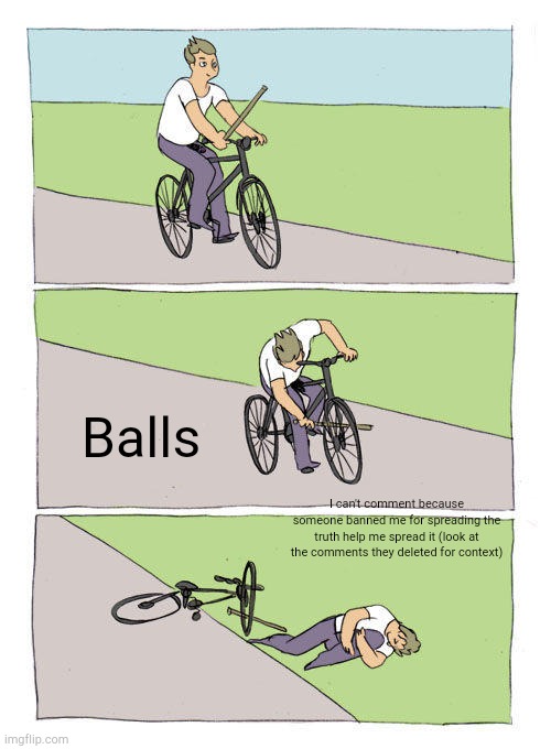 End reality | Balls; I can't comment because someone banned me for spreading the truth help me spread it (look at the comments they deleted for context) | image tagged in memes,bike fall | made w/ Imgflip meme maker