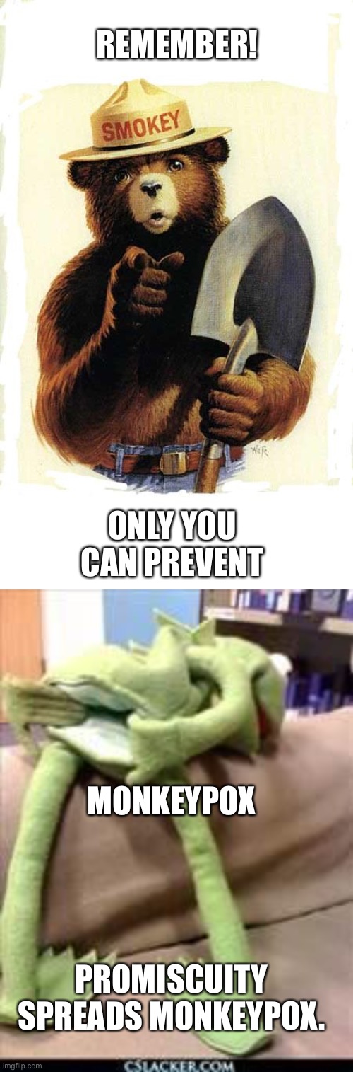 Two months is all it would take to end it. | REMEMBER! ONLY YOU CAN PREVENT; MONKEYPOX; PROMISCUITY SPREADS MONKEYPOX. | image tagged in smokey the bear,gay kermit,monkeypox,prevent,promiscuity | made w/ Imgflip meme maker