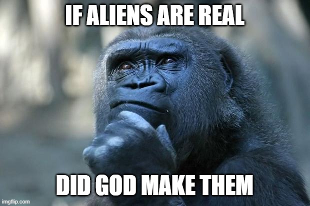The thinking Gorilla | IF ALIENS ARE REAL; DID GOD MAKE THEM | image tagged in deep thoughts | made w/ Imgflip meme maker