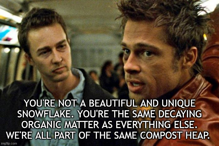 Not a beautiful and unique snowflake |  YOU'RE NOT A BEAUTIFUL AND UNIQUE SNOWFLAKE. YOU'RE THE SAME DECAYING ORGANIC MATTER AS EVERYTHING ELSE. WE'RE ALL PART OF THE SAME COMPOST HEAP. | image tagged in tyler durden,fight club | made w/ Imgflip meme maker