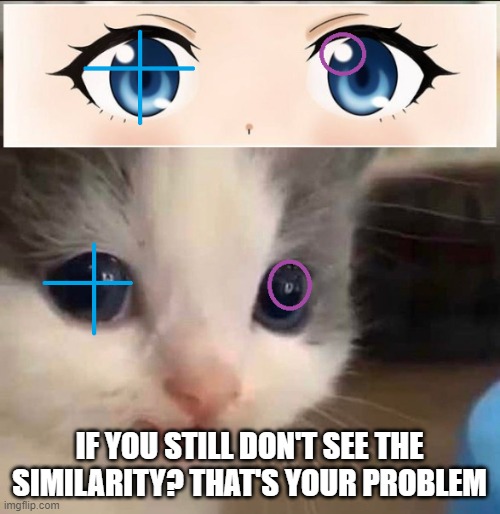 IF YOU STILL DON'T SEE THE SIMILARITY? THAT'S YOUR PROBLEM | made w/ Imgflip meme maker