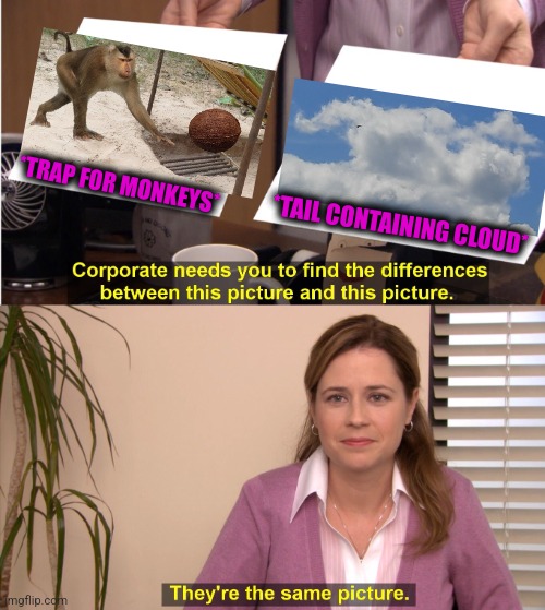 -Run, dear monkey! | *TRAP FOR MONKEYS*; *TAIL CONTAINING CLOUD* | image tagged in memes,they're the same picture,mondays its a trap,where monkey,totally looks like,soundcloud | made w/ Imgflip meme maker