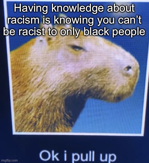 Some mfs say that | Having knowledge about racism is knowing you can’t be racist to only black people | image tagged in ok i pull up | made w/ Imgflip meme maker