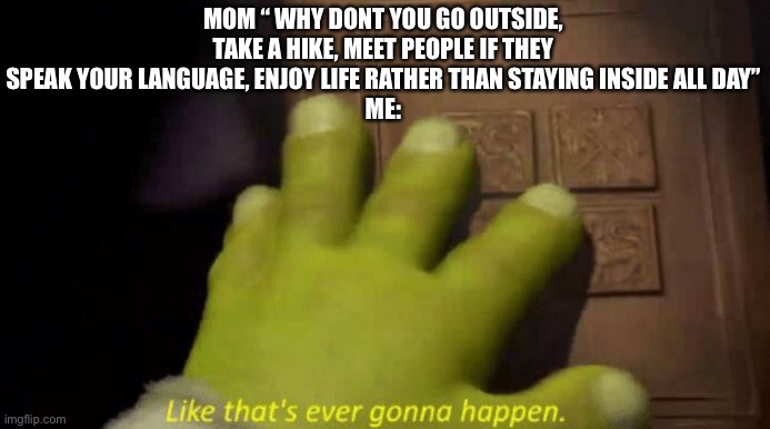 Like that's ever gonna happen. | MOM “ WHY DONT YOU GO OUTSIDE, TAKE A HIKE, MEET PEOPLE IF THEY SPEAK YOUR LANGUAGE, ENJOY LIFE RATHER THAN STAYING INSIDE ALL DAY”
ME: | image tagged in like that's ever gonna happen | made w/ Imgflip meme maker