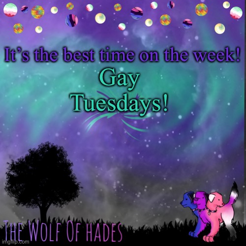 TheWolfOfHades announces crap V.694201723696969 | It’s the best time on the week! Gay Tuesdays! | image tagged in thewolfofhades announces crap v 694201723696969 | made w/ Imgflip meme maker