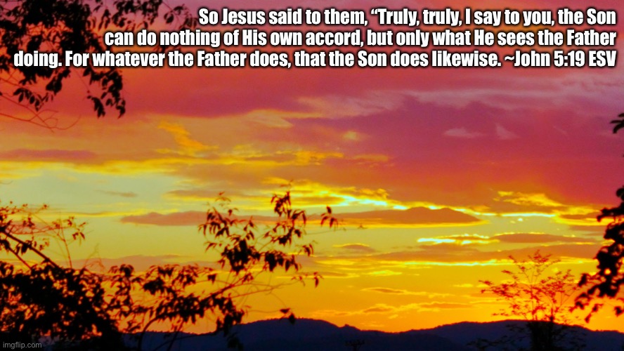 John 5:19 ESV | So Jesus said to them, “Truly, truly, I say to you, the Son can do nothing of His own accord, but only what He sees the Father doing. For whatever the Father does, that the Son does likewise. ~John 5:19 ESV | image tagged in vivid sunlight | made w/ Imgflip meme maker