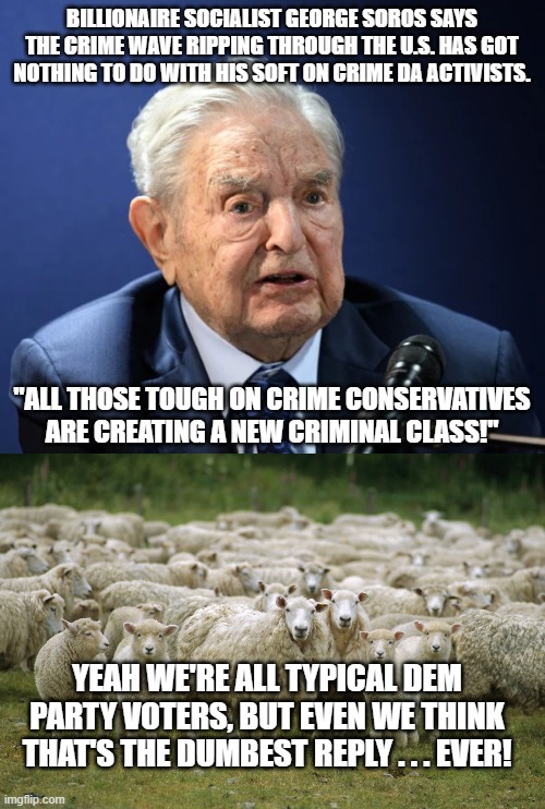 Apparently even CNN is failing to buy into this Soros generated excuse. | BILLIONAIRE SOCIALIST GEORGE SOROS SAYS THE CRIME WAVE RIPPING THROUGH THE U.S. HAS GOT NOTHING TO DO WITH HIS SOFT ON CRIME DA ACTIVISTS. "ALL THOSE TOUGH ON CRIME CONSERVATIVES ARE CREATING A NEW CRIMINAL CLASS!"; YEAH WE'RE ALL TYPICAL DEM PARTY VOTERS, BUT EVEN WE THINK THAT'S THE DUMBEST REPLY . . . EVER! | image tagged in soros | made w/ Imgflip meme maker