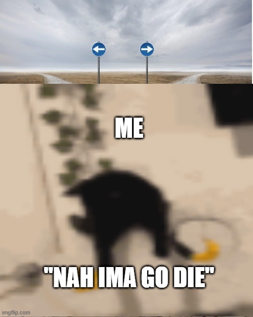 nah ima go die | ME; "NAH IMA GO DIE" | image tagged in imgflip,memes,funny,why are you reading this,stop reading the tags | made w/ Imgflip meme maker