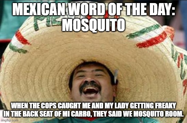 Mosquito |  MEXICAN WORD OF THE DAY:
MOSQUITO; WHEN THE COPS CAUGHT ME AND MY LADY GETTING FREAKY IN THE BACK SEAT OF MI CARRO, THEY SAID WE MOSQUITO ROOM. | image tagged in mexican word of the day | made w/ Imgflip meme maker